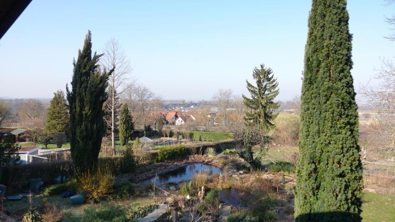 Casa Luna Döttingen Екстериор снимка